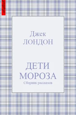 Джек Лондон Дети мороза (сборник рассказов) обложка книги