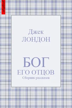 Джек Лондон Бог его отцов (сборник рассказов) обложка книги