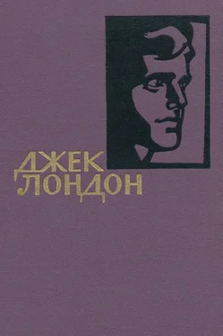 Джек Лондон Собрание сочинений в 14 томах. Том I обложка книги