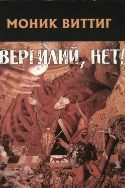 Моник Виттиг Вергилий, нет! обложка книги