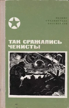 Василий Красавин Так сражались чекисты обложка книги