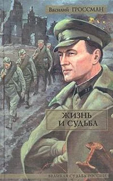 Василий Гроссман Жизнь и судьба обложка книги