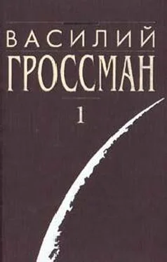 Василий Гроссман Все течёт обложка книги