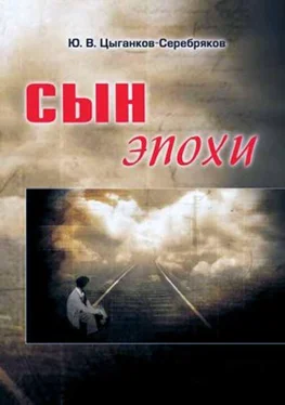 Юрий Цыганков-Серебряков Сын эпохи обложка книги