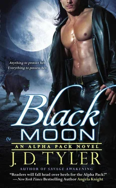 J. Tyler Black Moon обложка книги