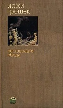 Иржи Грошек Реставрация обеда обложка книги