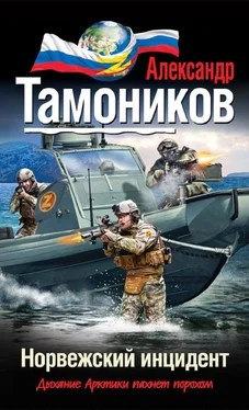 Александр Тамоников Норвежский инцидент обложка книги