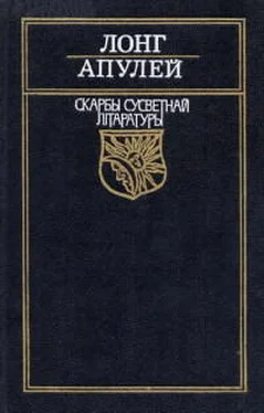 Лонг Пастушыная гісторыя пра Дафніса і Хлою обложка книги