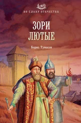 Борис Тумасов - Зори лютые