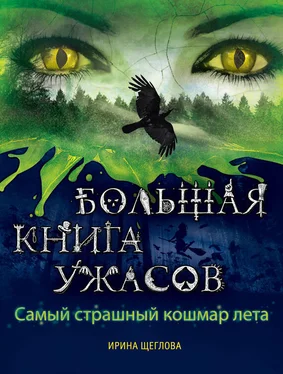 Ирина Щеглова Самый страшный кошмар лета (сборник) обложка книги