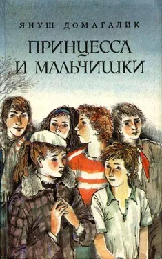 Януш Домагалик Принцесса и мальчишки обложка книги