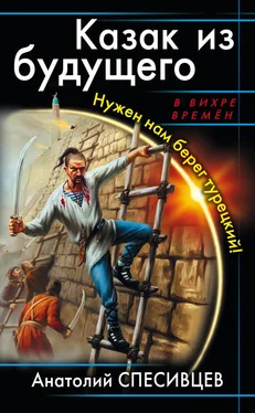 Анатолий Спесивцев Казак из будущего. Нужен нам берег турецкий! обложка книги