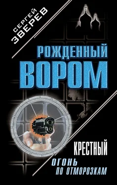 Сергей Зверев Крестный. Огонь по отморозкам обложка книги