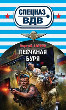 Сергей Зверев Песчаная буря обложка книги