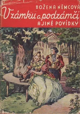 Божена Немцова В замке и около замка обложка книги