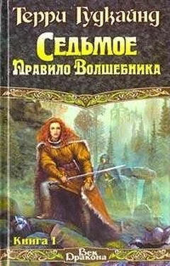 Терри Гудкайнд Седьмое Правило Волшебника или Столпы Творения обложка книги