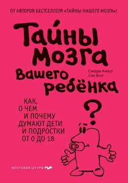 Сэм Вонг Тайны мозга вашего ребенка обложка книги