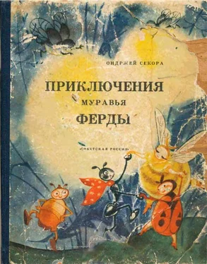 Ондржей Секора Приключения муравья Ферды обложка книги