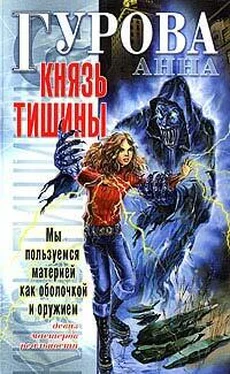 Анна Гурова Князь Тишины обложка книги