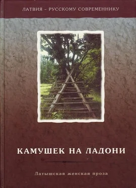 Илзе Индране Камушек на ладони. Латышская женская проза обложка книги