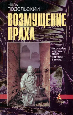 Наль Подольский Возмущение праха обложка книги