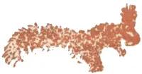 КУСОК ХЛЕБА На мусорную кучу зимой только сытый не летит Но сытых зимой мало - фото 6