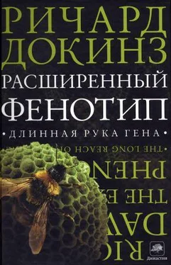 Ричард Докинз Расширенный Фенотип: длинная рука гена обложка книги