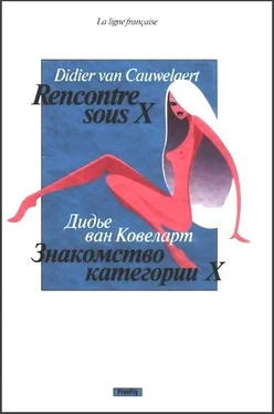 Дидье Ковелер Знакомство категории X обложка книги