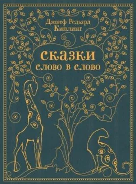 Ян Шапиро Сказки пяти континентов обложка книги