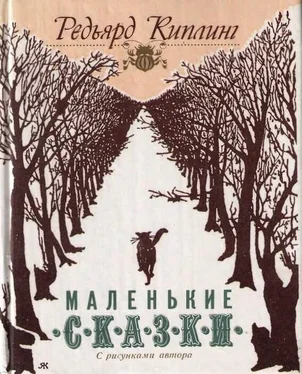 Редьярд Киплинг Маленькие сказки обложка книги