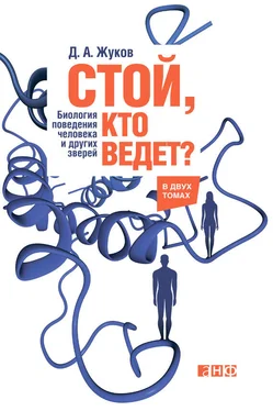 Дмитрий Жуков Стой, кто ведет? Биология поведения человека и других зверей обложка книги