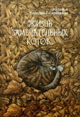 Наталья Володина-Саркавази Жизнь замечательных котов… обложка книги