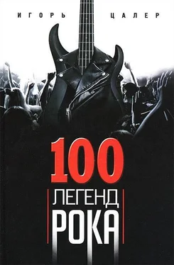 Игорь Цалер 100 легенд рока. Живой звук в каждой фразе обложка книги