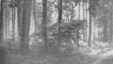Рис 8 Земля как стихия Рис 9 Вода как стихия Принятие ванны в священном - фото 9