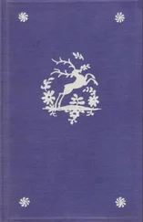 Карел Яромир Эрбен - Букет из народных преданий