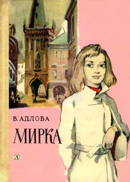 Вера Адлова Мирка обложка книги