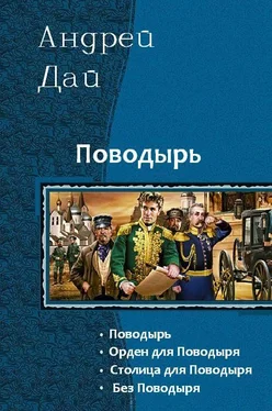 Андрей Дай Поводырь - 4 обложка книги