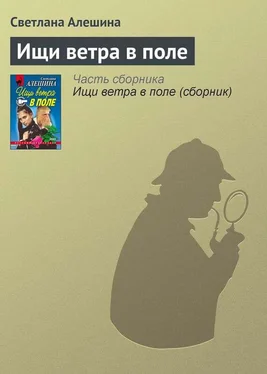 Светлана Алешина Ищи ветра в поле обложка книги