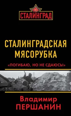 Владимир Першанин Сталинградская мясорубка. «Погибаю, но не сдаюсь!» обложка книги