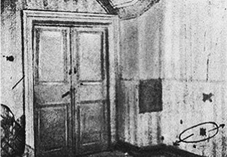 Репродукция типографского издания фотоснимков южной и западной стен комнаты II - фото 24