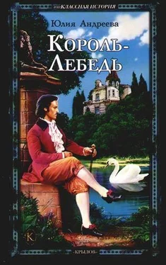 Юлия Андреева Король-Лебедь обложка книги