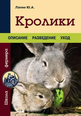 Юрий Лапин Кролики обложка книги