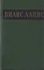 Вилис Лацис - Собрание сочинений. Т. 3. Буря