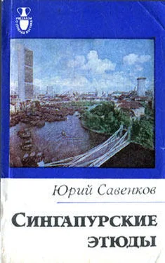 Юрий Савенков Сингапурские этюды обложка книги