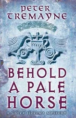 Peter Tremayne - Behold a Pale Horse