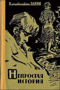 Константин Лапин Непростая история обложка книги