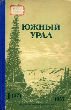 Виктор Вохминцев Южный Урал, № 27 обложка книги