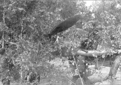 Техники снимают маскировку перед взлетом Fw190 Северная Франция лето 1944 г - фото 130