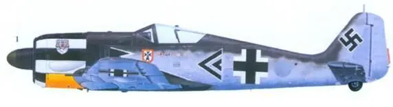 Асы люфтваффе пилоты Fw 190 на Западном фронте - фото 158