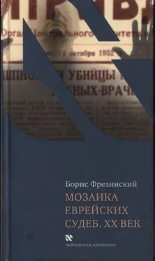 Борис Фрезинский Мозаика еврейских судеб. XX век обложка книги